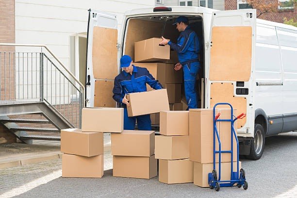 photo 2026 04 04 01 05 20